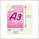 Affischer A3