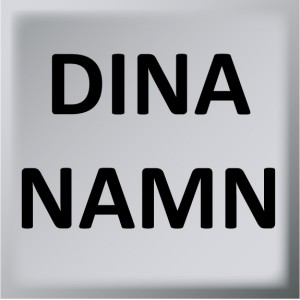 Dina namn T3