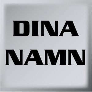 Dina namn T12