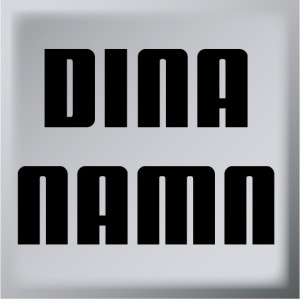 Dina namn T13