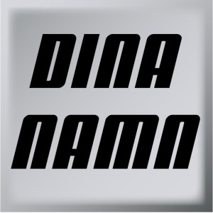 Dina namn T15